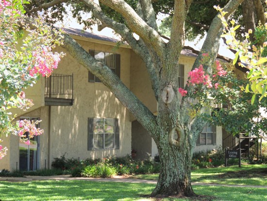 Port Au Prince Apartments