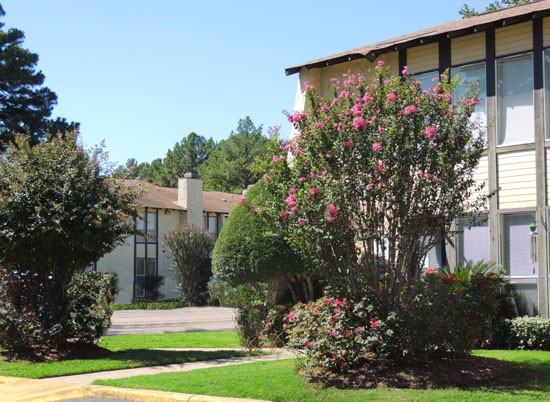 Kingwood Forest Apartments