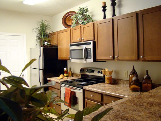 Landing at Willow Bayou, The