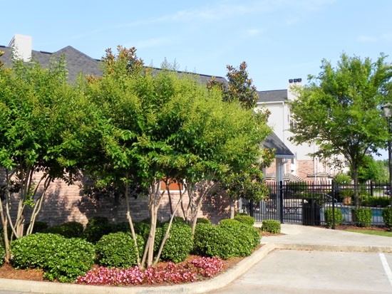 Lexington Place Apartments