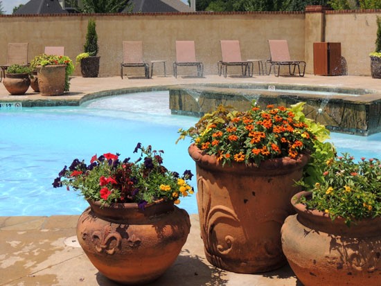 Landing at Willow Bayou, The