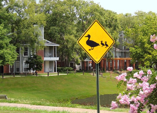 Willows at Wright Island Apartments