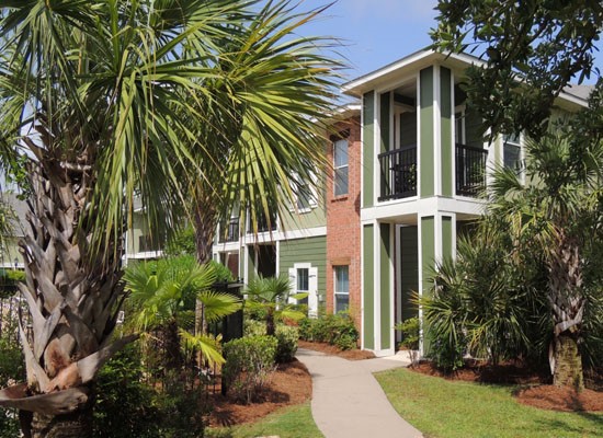 Reflections of Island Park