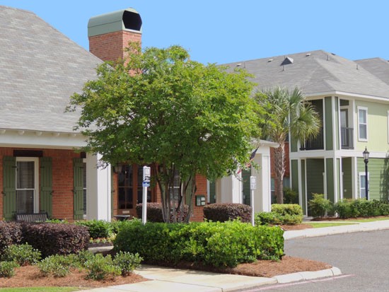 Reflections of Island Park