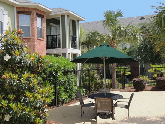 Reflections of Island Park