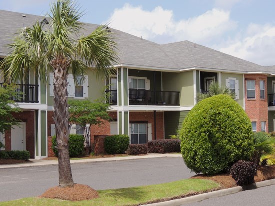 Reflections of Island Park