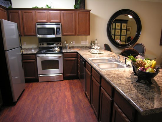 Reflections of Island Park