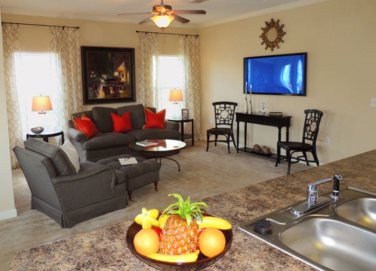 Reflections of Island Park