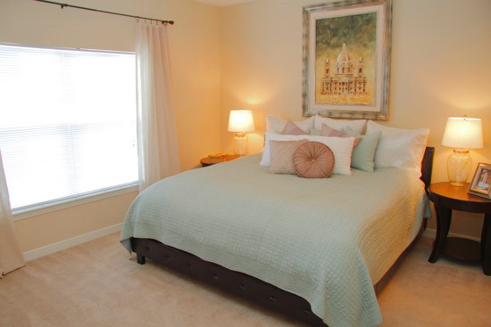 Reflections of Island Park