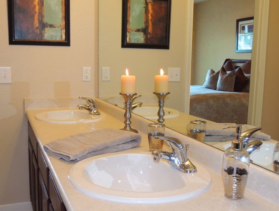 Reflections of Island Park